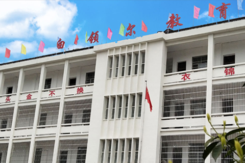 白領爾教育